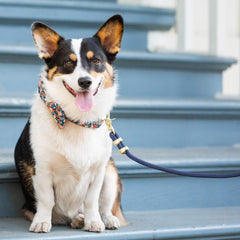 Ocean Marine Rope Dog Leash