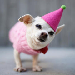 Dog Pawty Hat Pink