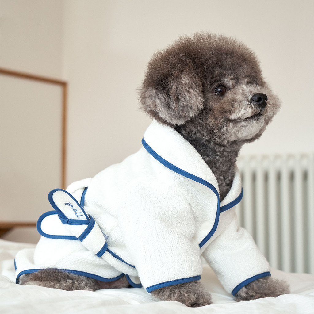 Premium Photo | Cute dog in a dressing gown isolated on a white background