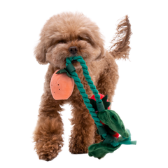Strawberry Dog Tug Toy