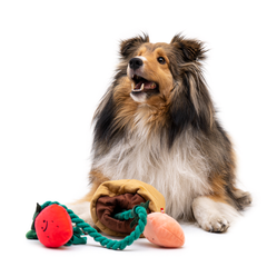 Strawberry Dog Tug Toy