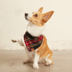 Stewart Plaid Flannel Dog Bandana