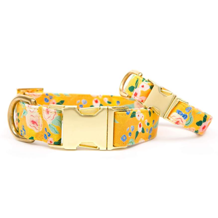 Sunny Days Dog Collar