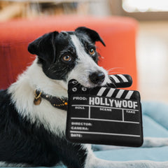 Hollywoof Cinema Dog Toy - Doggy Director Board
