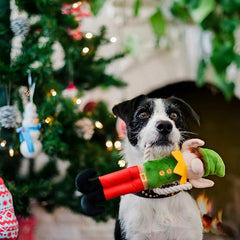 Merry Woofmas Dog Toy - Santa's Little Elf-er