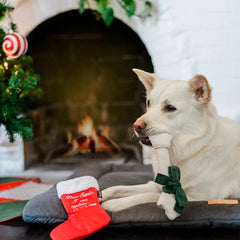 Merry Woofmas Dog Toy - Good Dog Stocking
