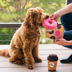 Pup Cup Café Dog Toy - Doughboy Donut