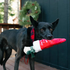 Merry Woofmas Dog Toy - Good Dog Stocking