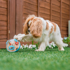 Wobble Ball 2.0 Dog Toy